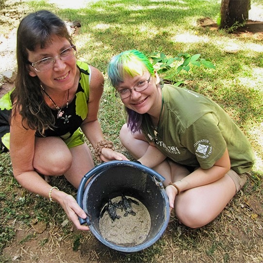 Judy and Mary crouch on the grass, holding a bucket filled with sand and several baby leatherback sea turtles.