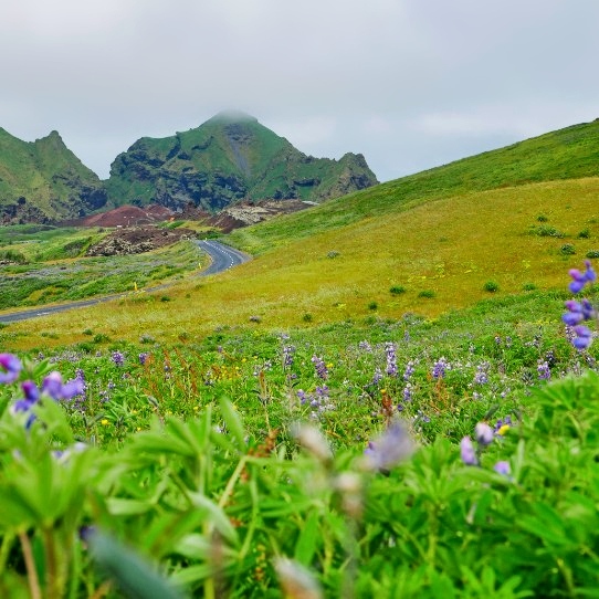 Vestmannaeyjar landscape