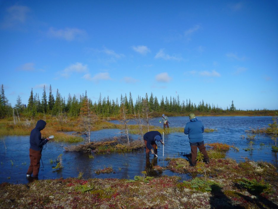 Volunteers collecting data in the field (credit Billy)
