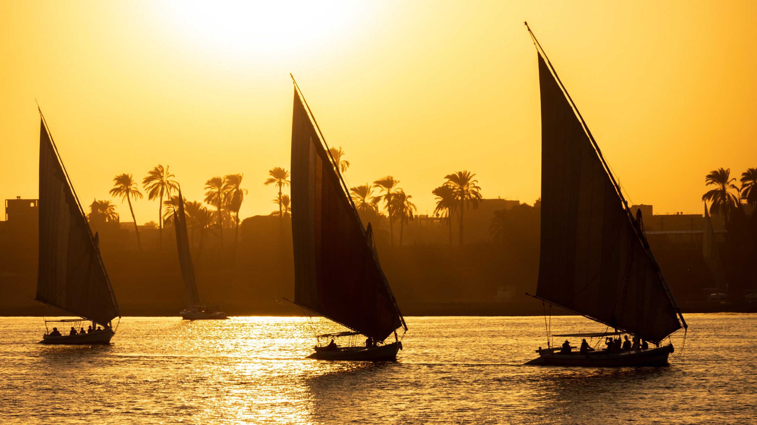 Traditional Egyptian felucca sailboats sailing on the Nile River