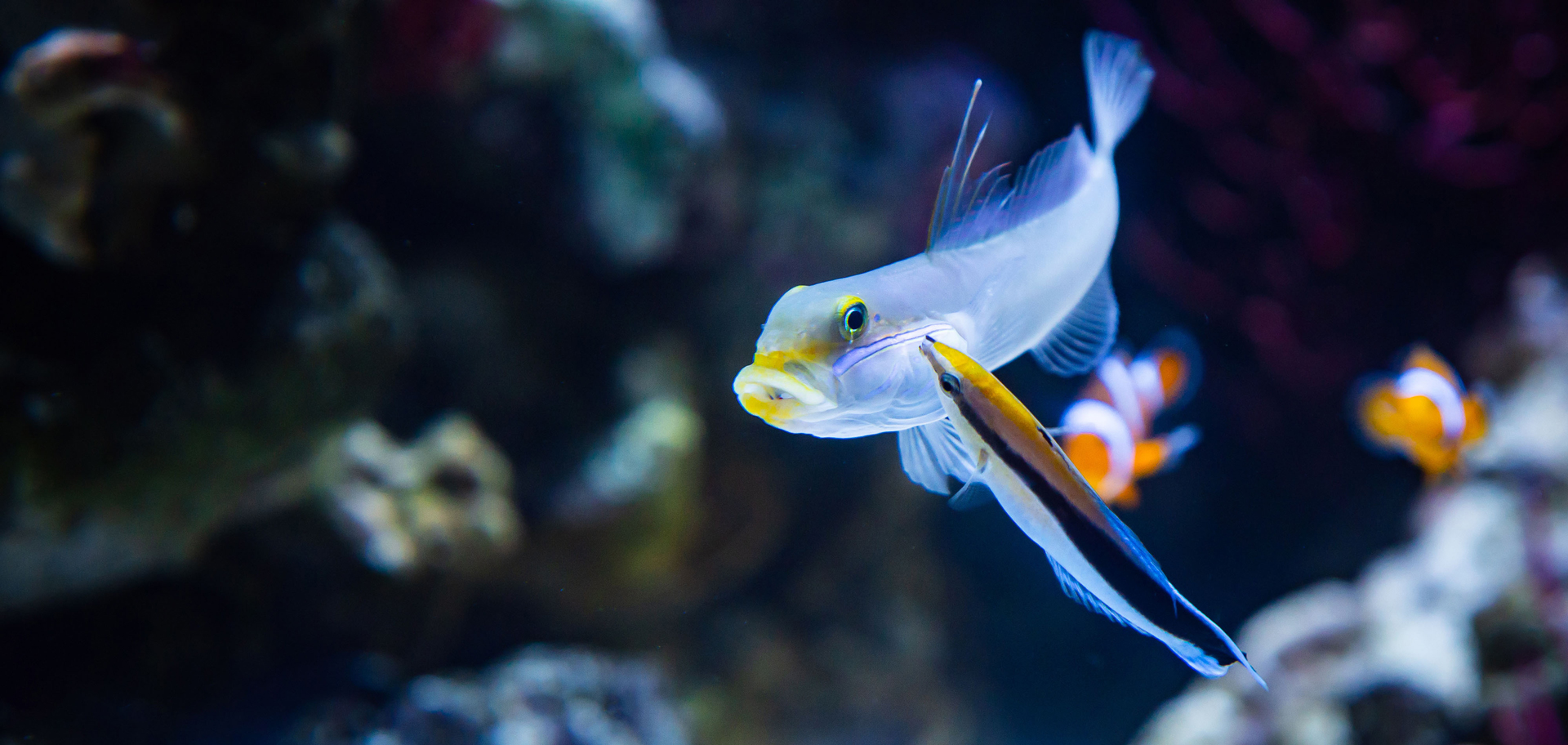AdobeStock