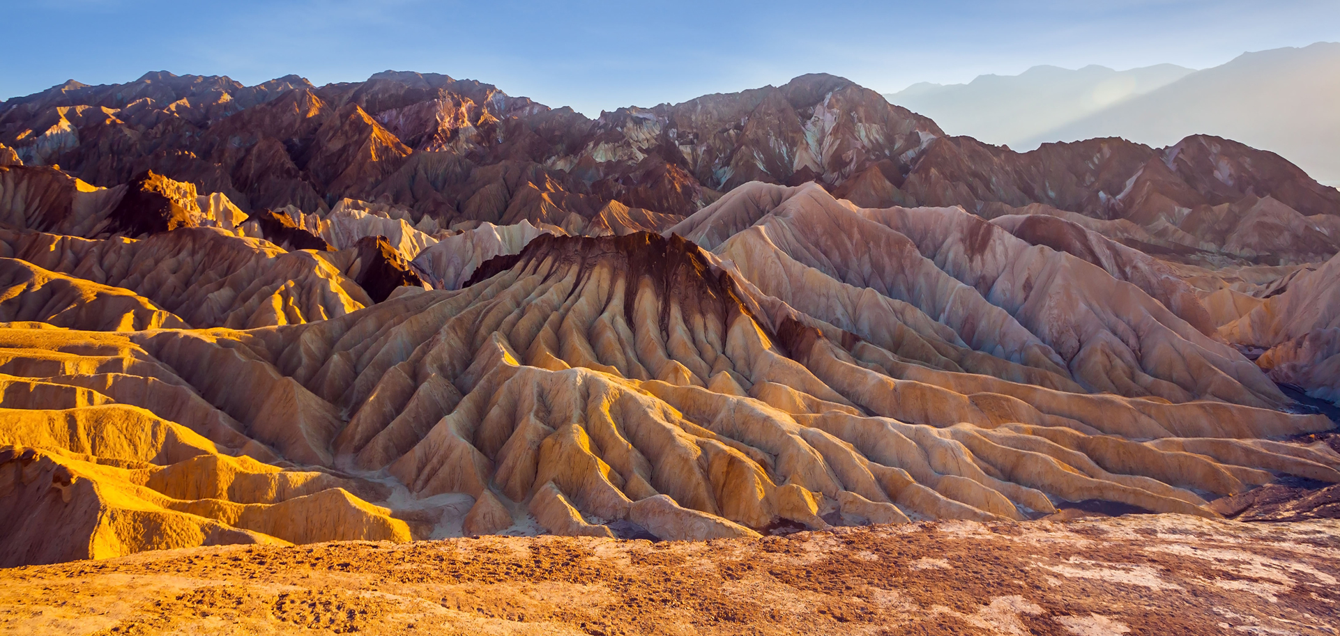 AdobeStock