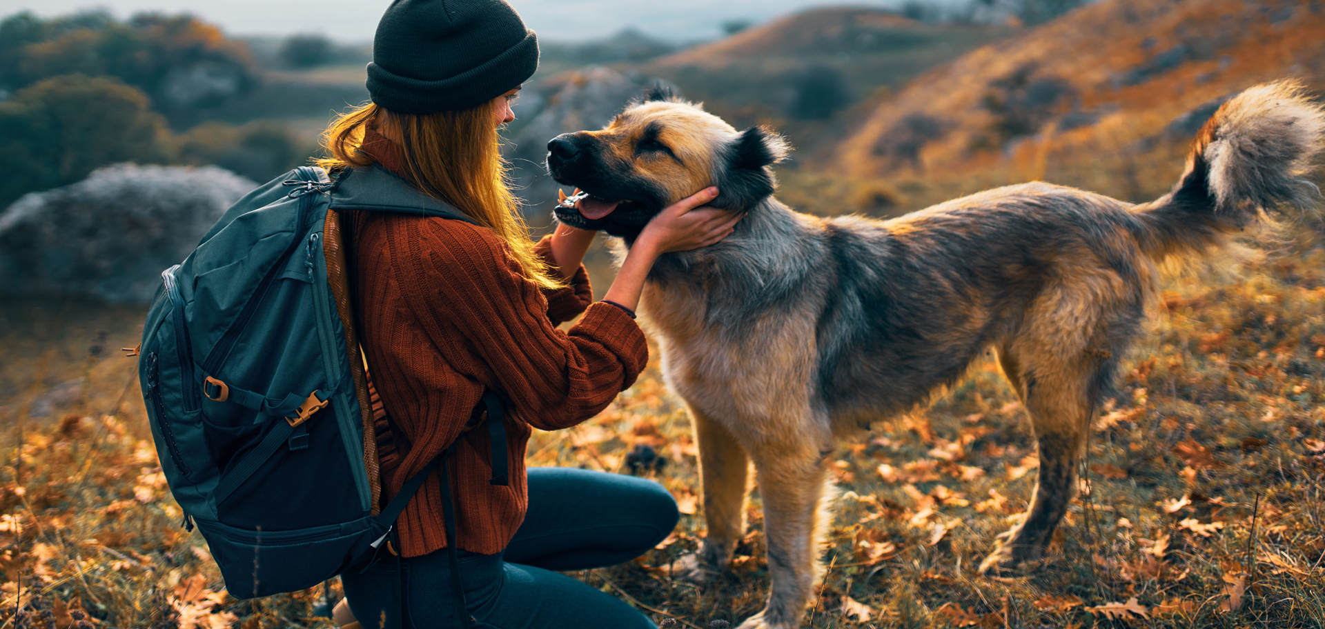 AdobeStock