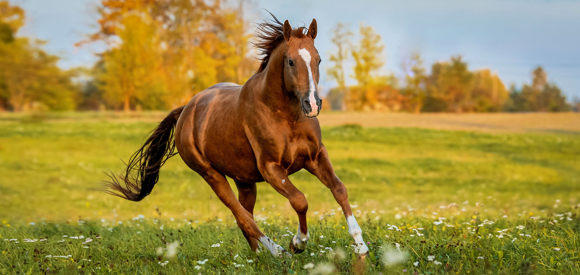 AdobeStock
