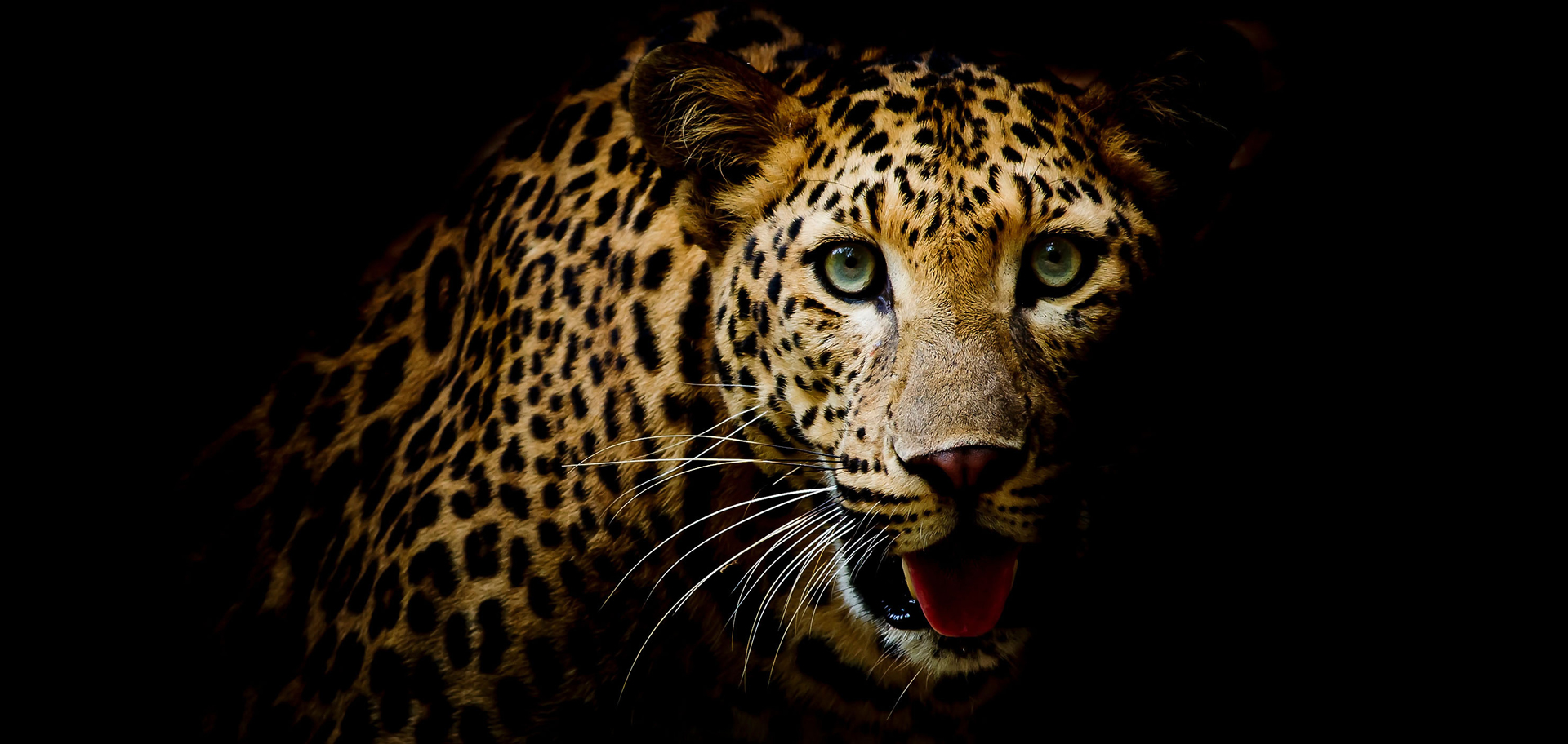 AdobeStock