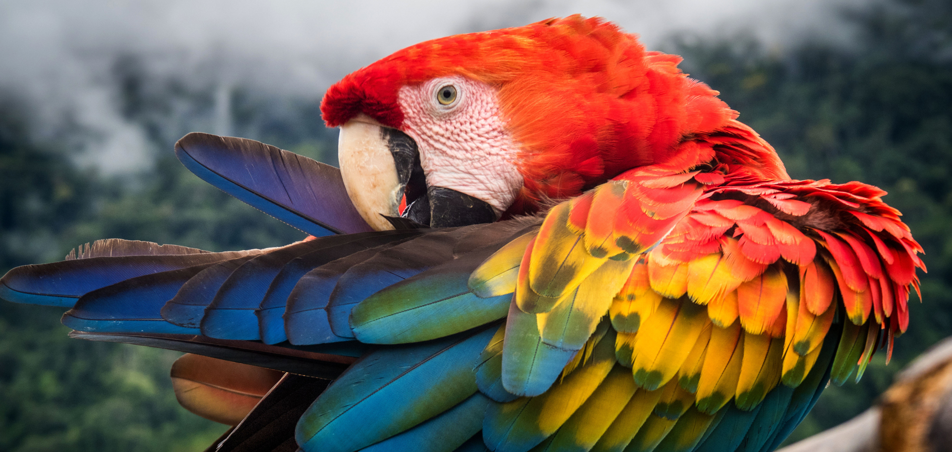 AdobeStock