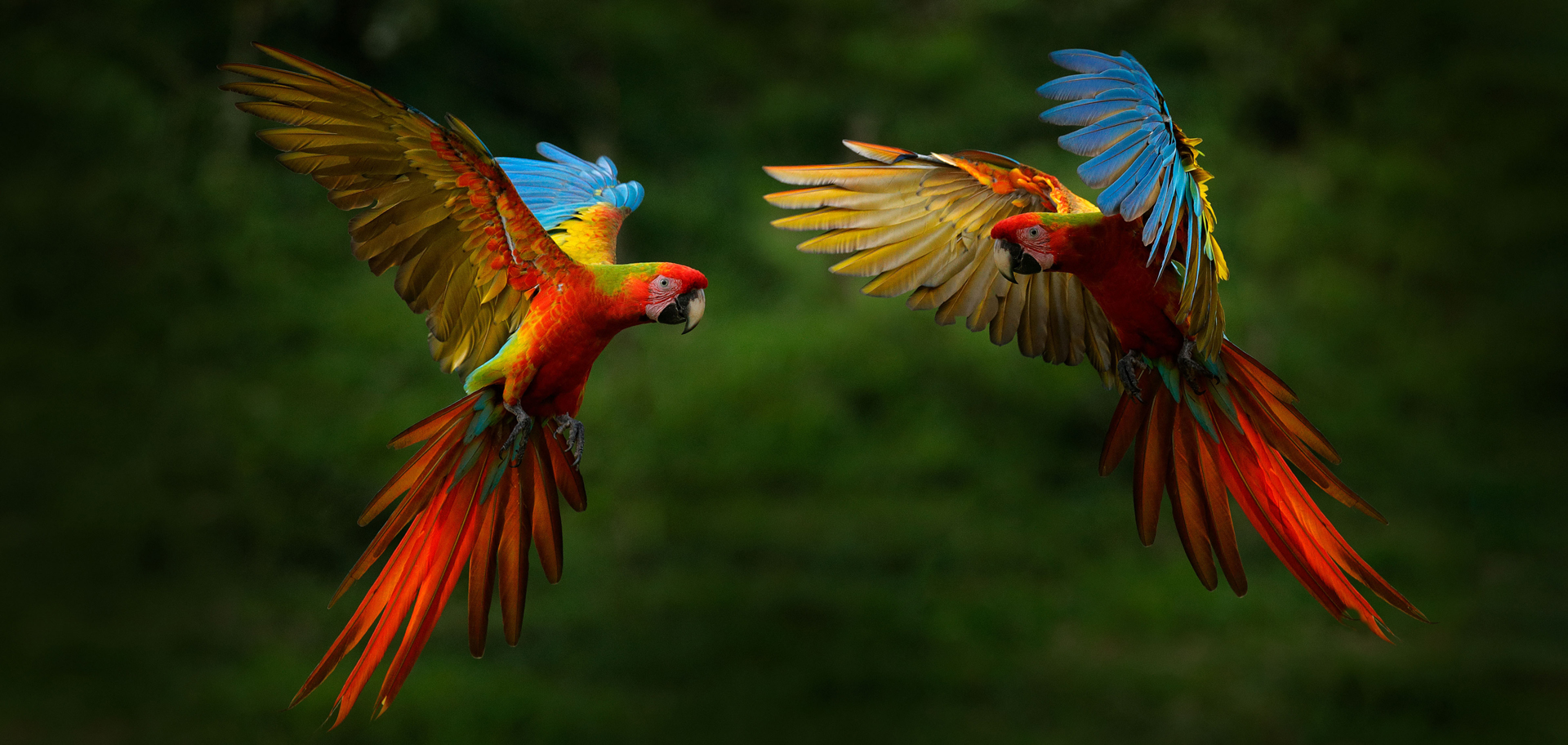 AdobeStock