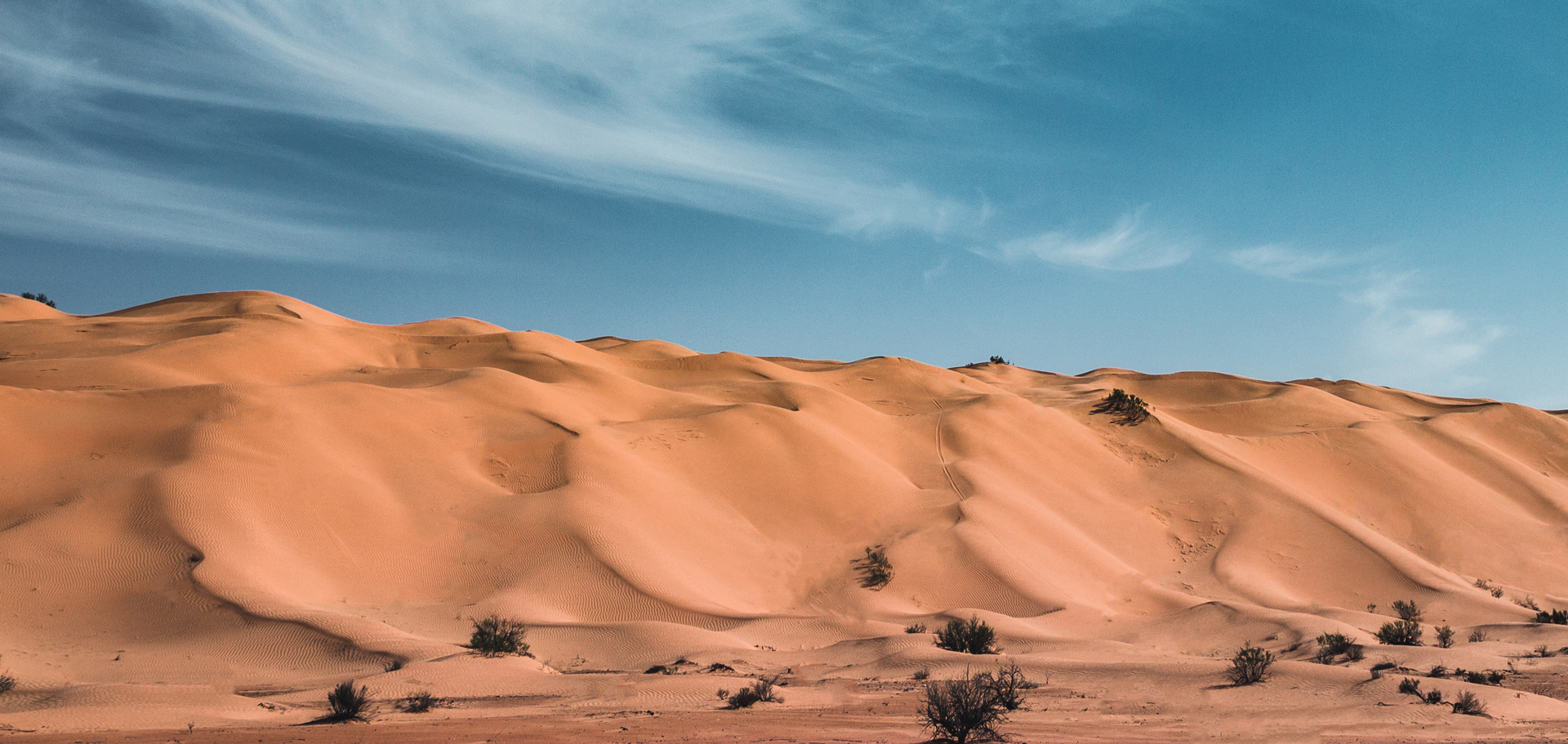 AdobeStock