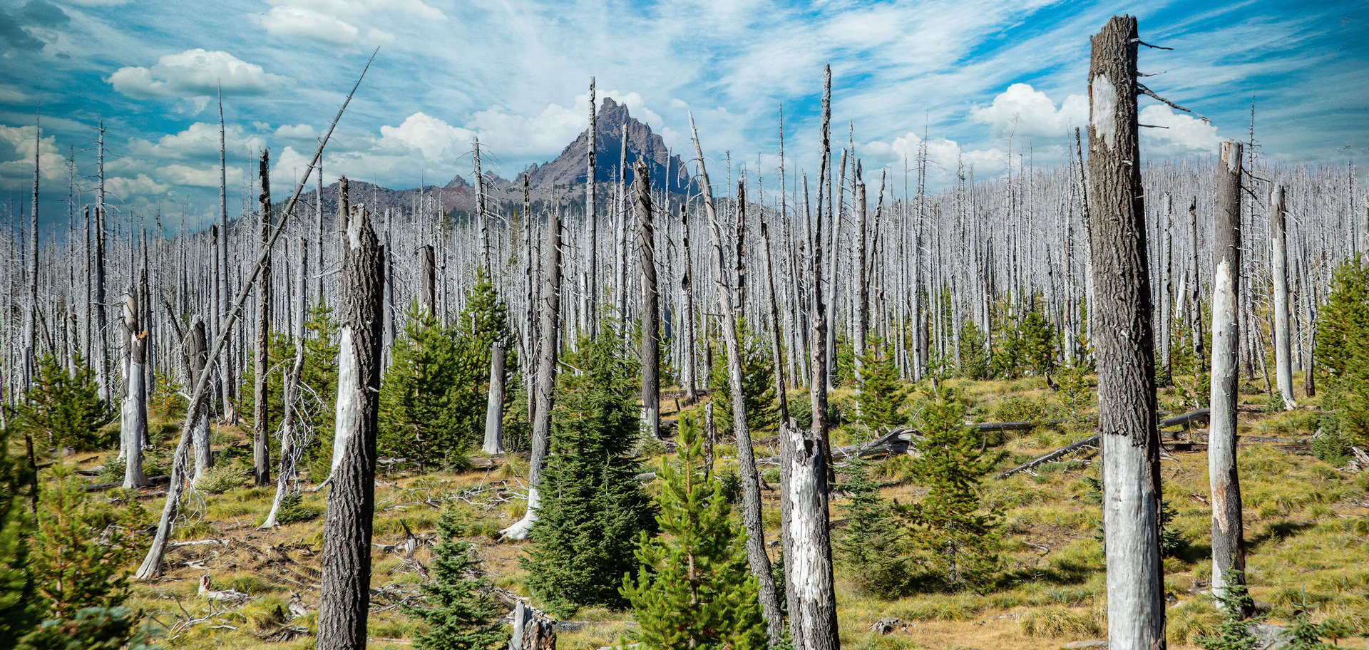 AdobeStock