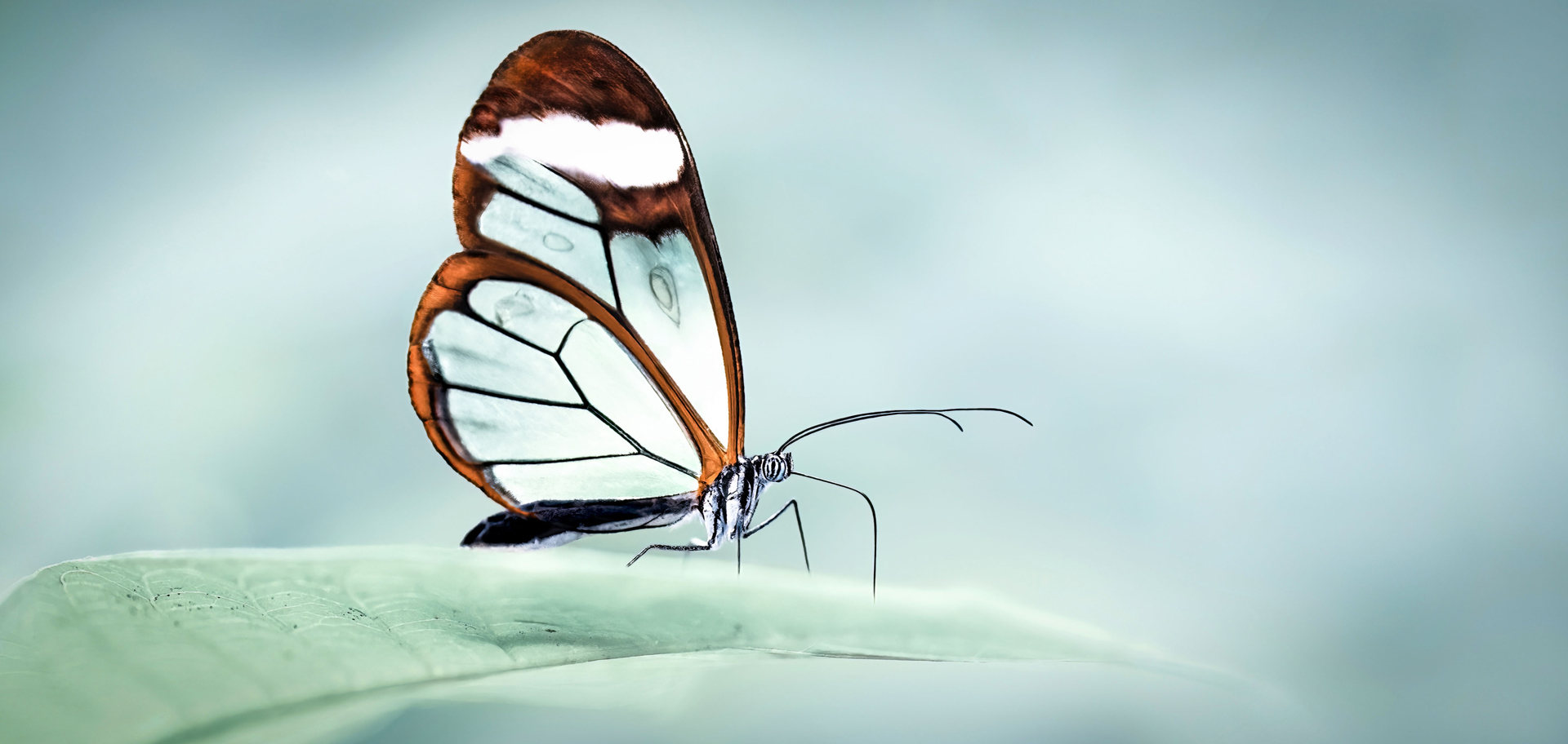 AdobeStock