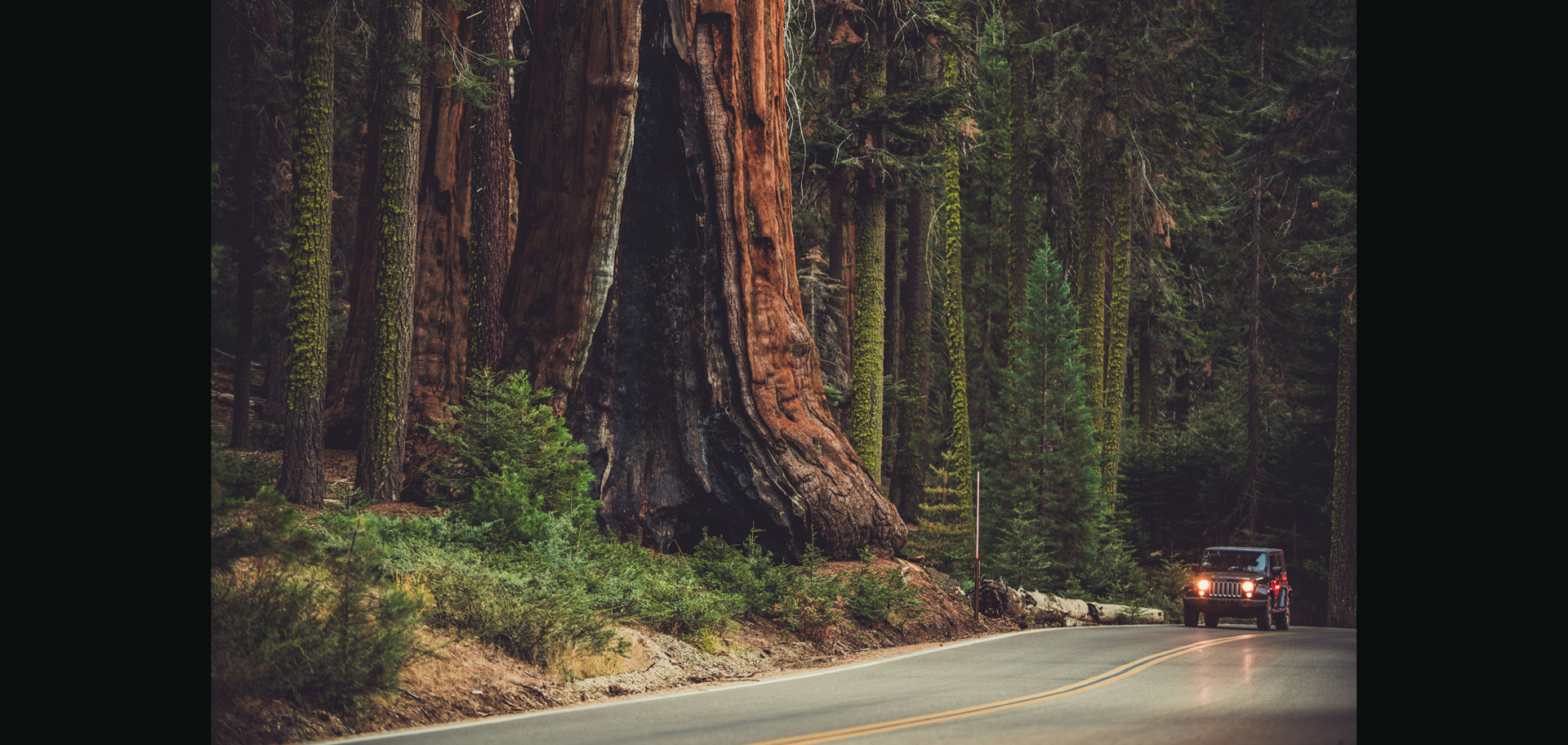 AdobeStock (Created by Candice Gaukel Andrews)
