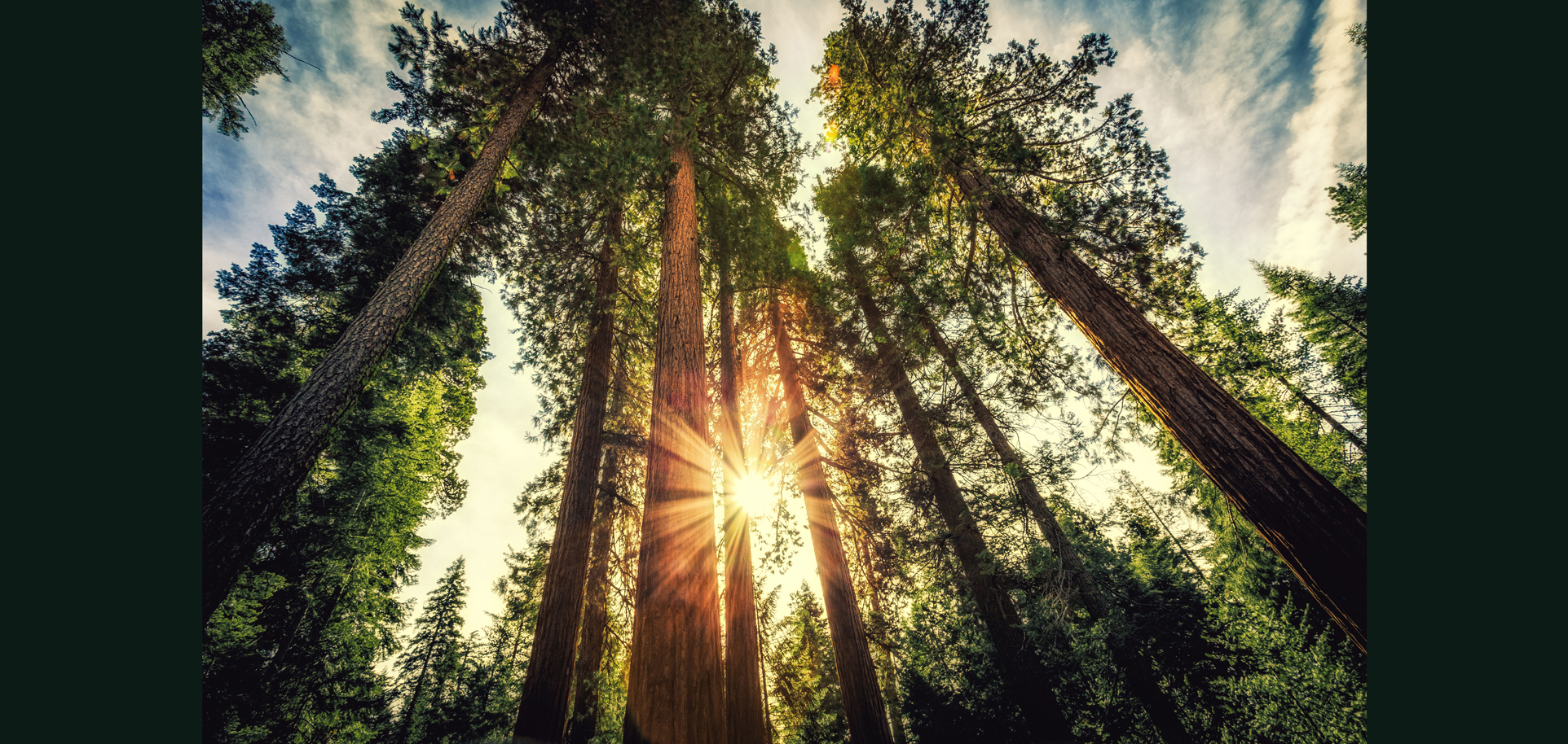 AdobeStock (Created by Candice Gaukel Andrews)