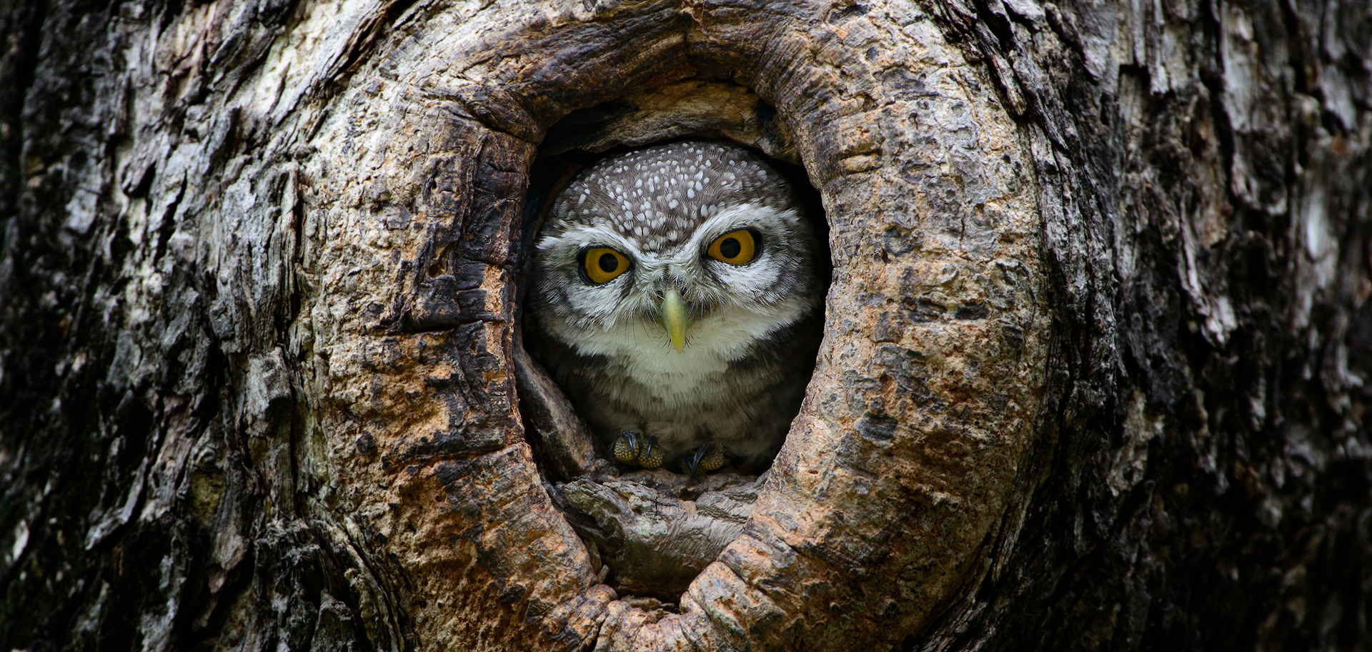 AdobeStock