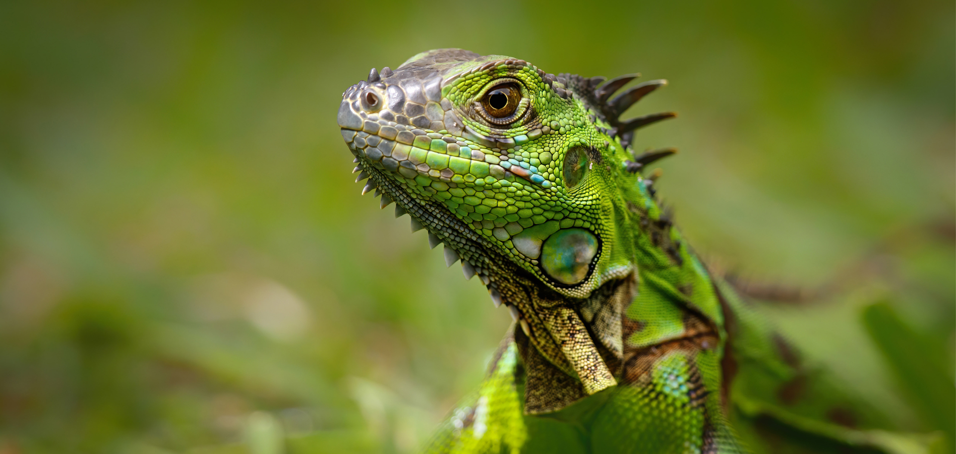 AdobeStock