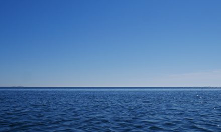 This World Oceans Day Leave the Plastic at Home